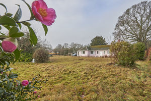 Byways- click for photo gallery